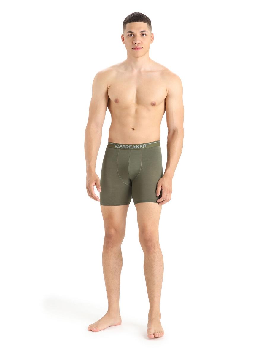 Loden Icebreaker Merino Anatomica Long Boxers Men's Underwear | AU 1284YXFU